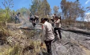 Karhutla Hanguskan 5 Hektare Lahan di Mamasa, Polisi dan Damkar Berjibaku Padamkan Api